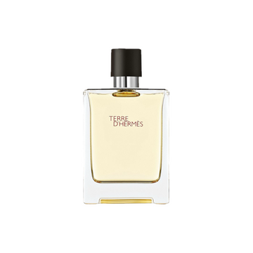 Terre D'Hermes EDT 100ml