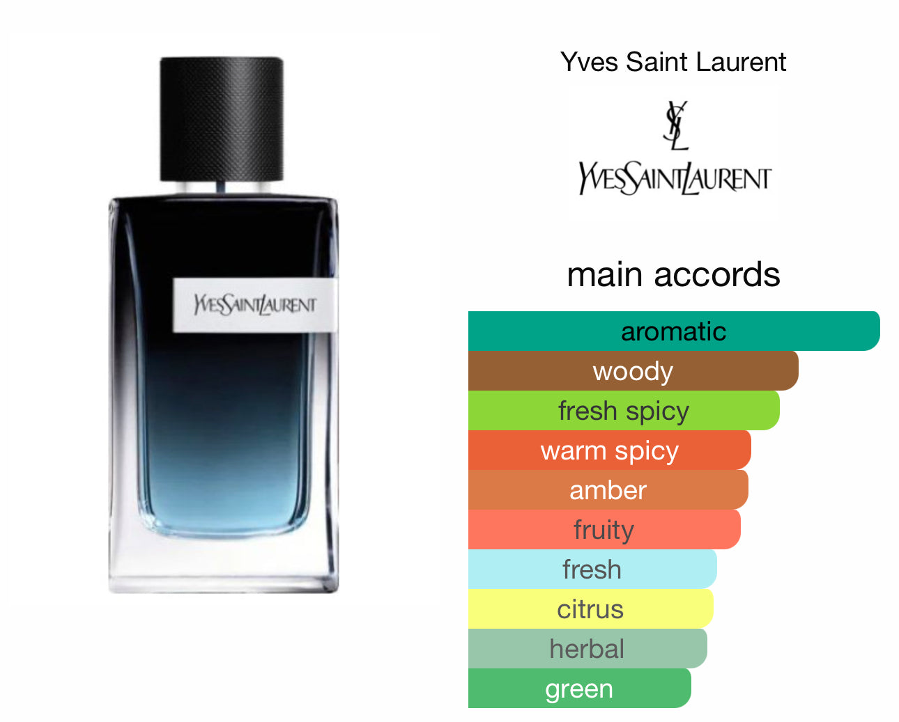 Y by YSL EDP 100ml